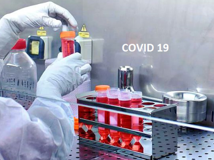 Covid 19 e pandemia