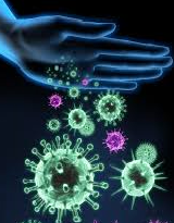 Sistema immunitario e Virus